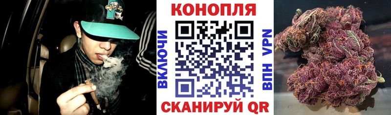 Наркотические вещества Сертолово COCAIN  гидра маркетплейс  Меф мяу мяу  Alpha-PVP  Гашиш  Каннабис 