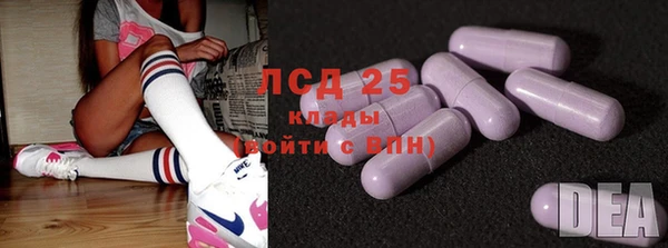 крисы Ростов