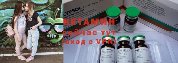 крисы Ростов