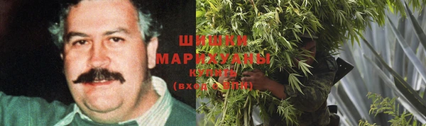 ГАЛЛЮЦИНОГЕННЫЕ ГРИБЫ Абаза