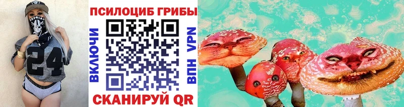 blacksprut ссылка  Сертолово  Галлюциногенные грибы Psilocybe 