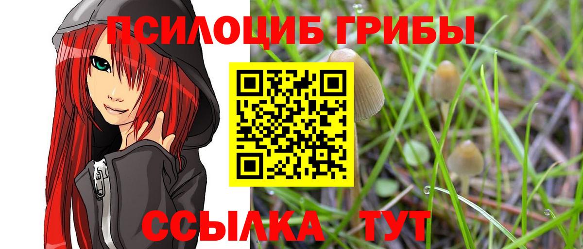 Галлюциногенные грибы GOLDEN TEACHER  Галлюциногенные грибы GOLDEN TEACHER  Вход с VPN  где продают наркотики  Сертолово 