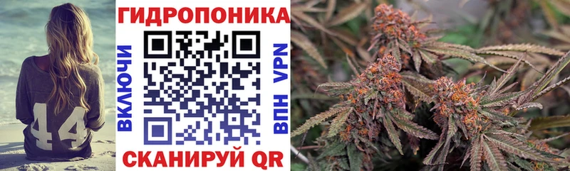 кракен сайт  как найти закладки  Сертолово  Канабис гибрид 